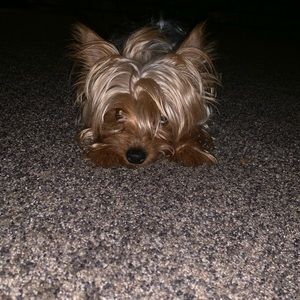 Meet your Posher, Madison